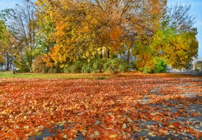 Autumn Landscape Care