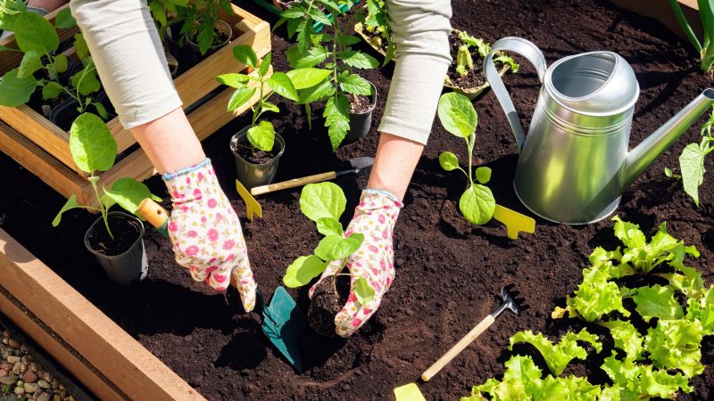 Garden Tilling Service Cost — Cost of Garden Tilling Service