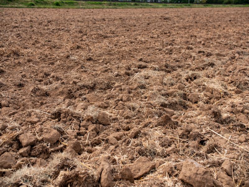 Garden Soil Preparation